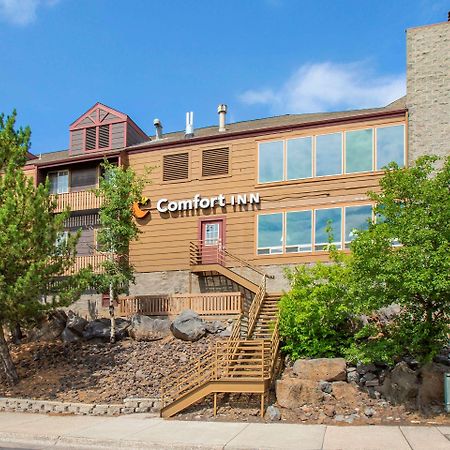 Comfort Inn I-17 & I-40 Flagstaff Zewnętrze zdjęcie