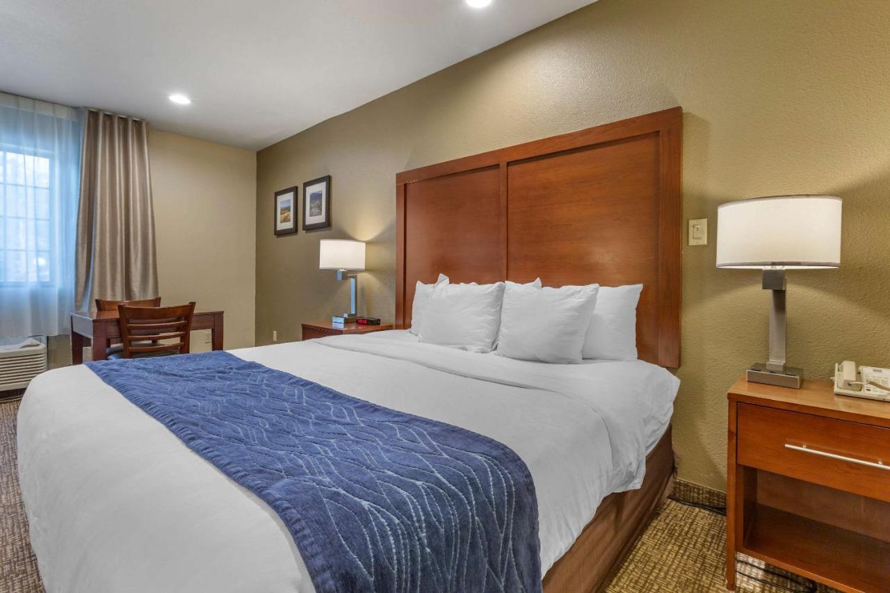 Comfort Inn I-17 & I-40 Flagstaff Zewnętrze zdjęcie
