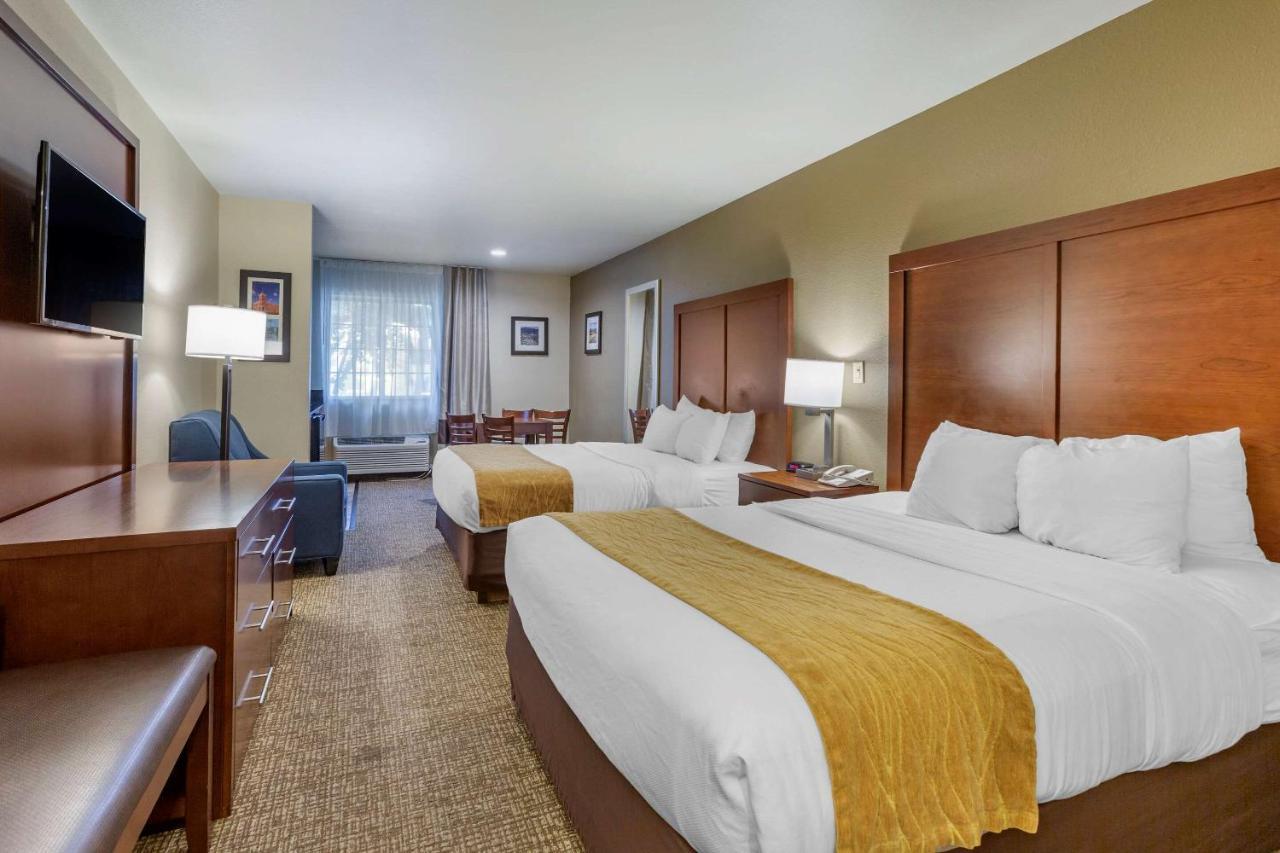 Comfort Inn I-17 & I-40 Flagstaff Zewnętrze zdjęcie