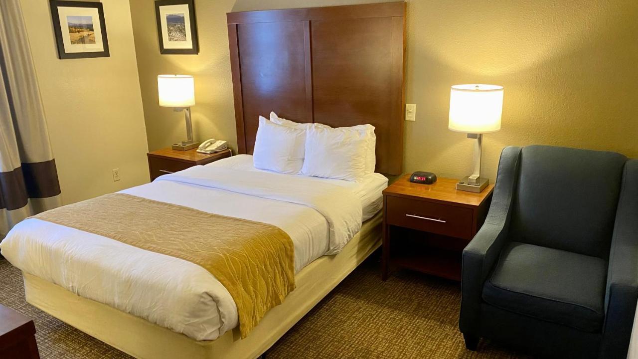 Comfort Inn I-17 & I-40 Flagstaff Zewnętrze zdjęcie