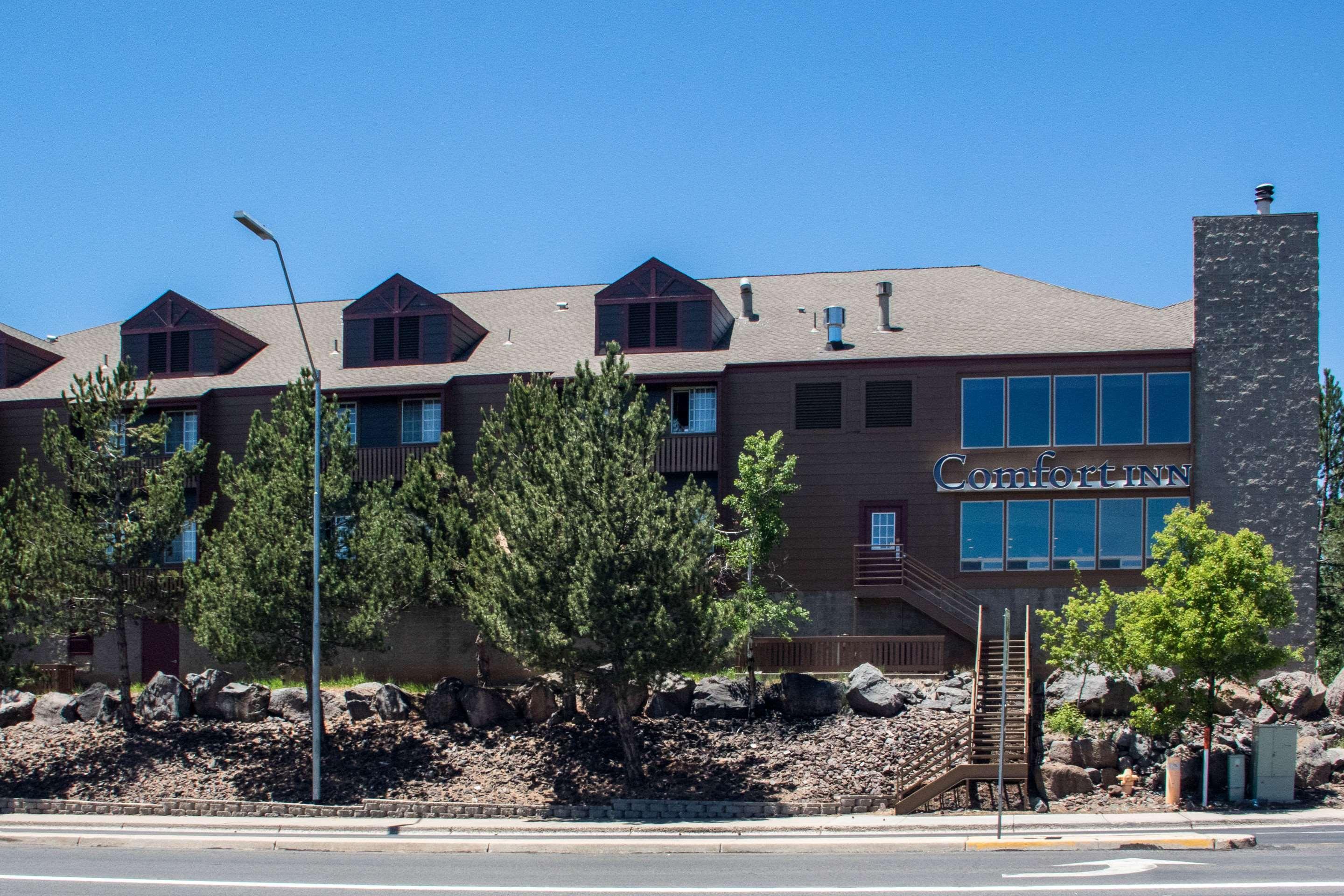 Comfort Inn I-17 & I-40 Flagstaff Zewnętrze zdjęcie