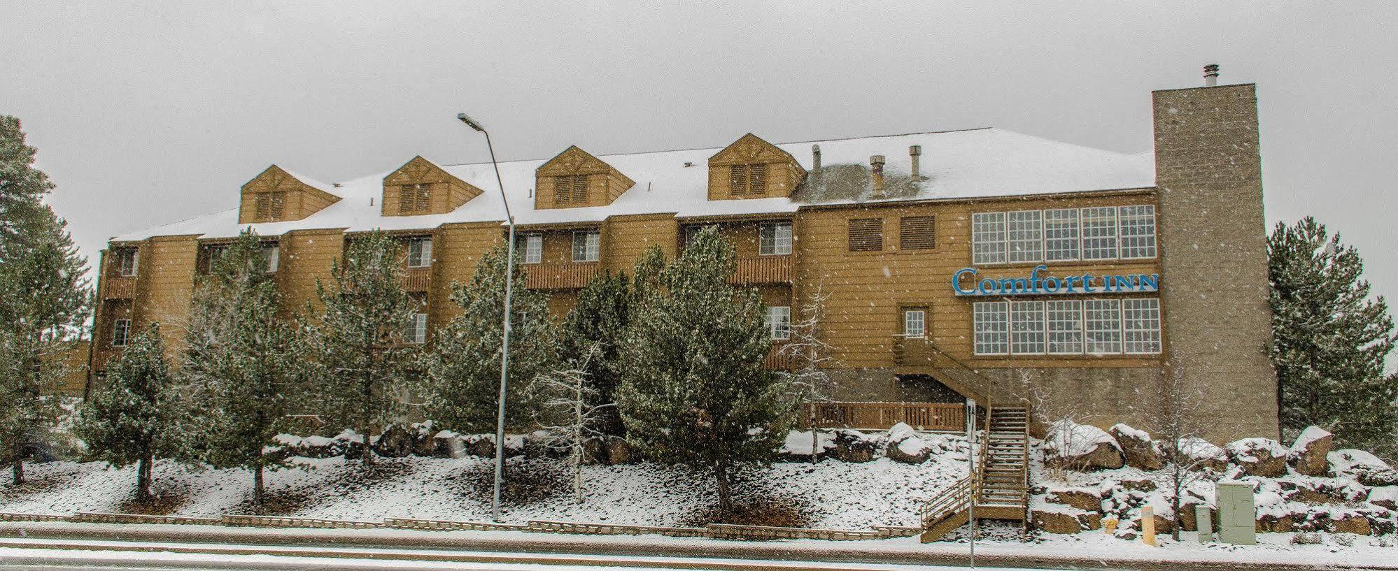 Comfort Inn I-17 & I-40 Flagstaff Zewnętrze zdjęcie
