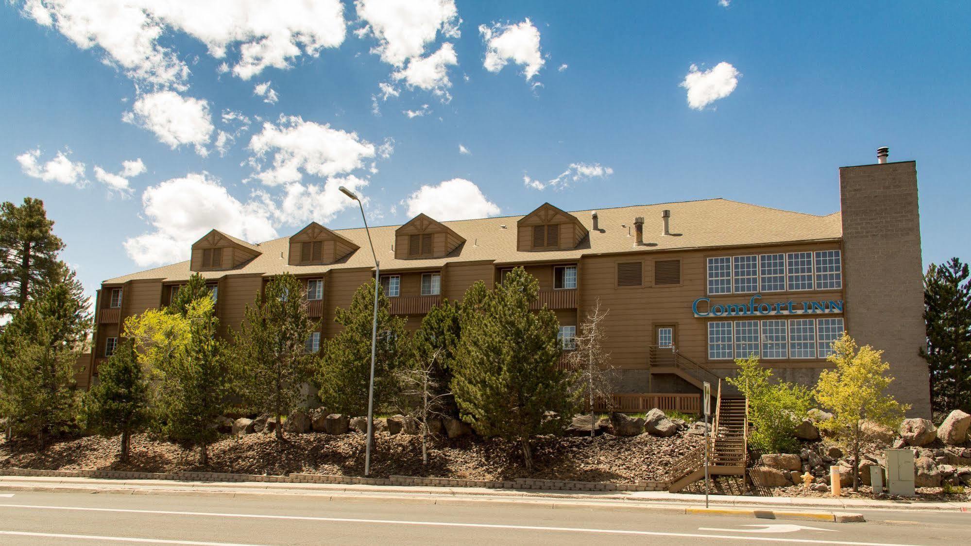 Comfort Inn I-17 & I-40 Flagstaff Zewnętrze zdjęcie